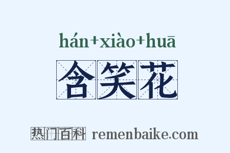 含笑花是什么意思的图片